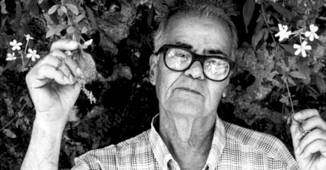 Bonaviri Pending Between Reality and Magic